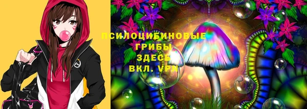 прущие крисы Алзамай